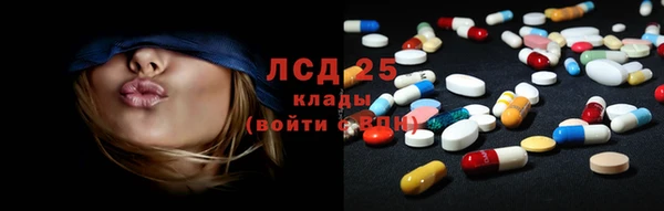 a pvp Алзамай