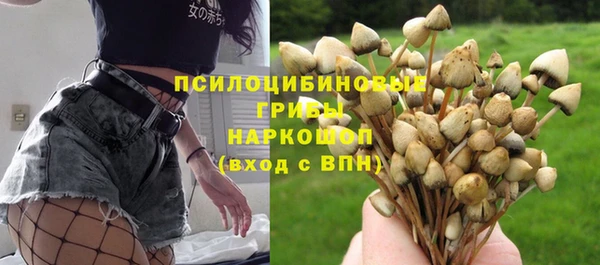 a pvp Алзамай