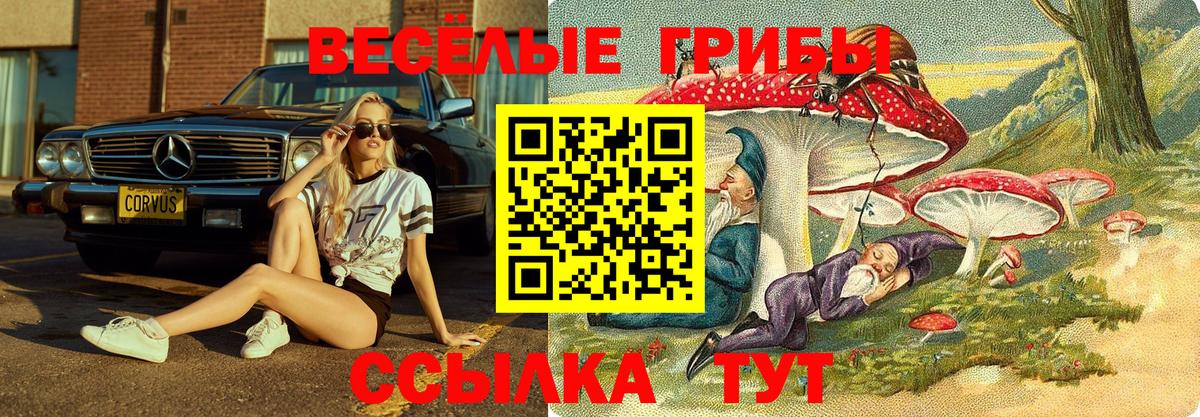 Псилоцибиновые грибы MAGIC MUSHROOMS Энгельс