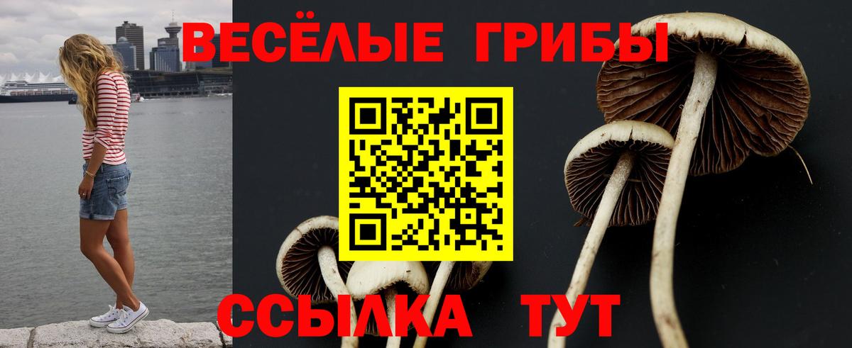 Псилоцибиновые грибы Psilocybine cubensis  Вход с VPN  Энгельс 